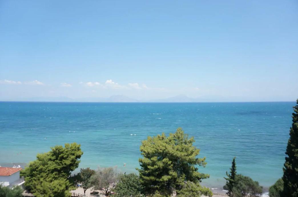 Sea Side Villa Alexandra Alissós Exterior foto